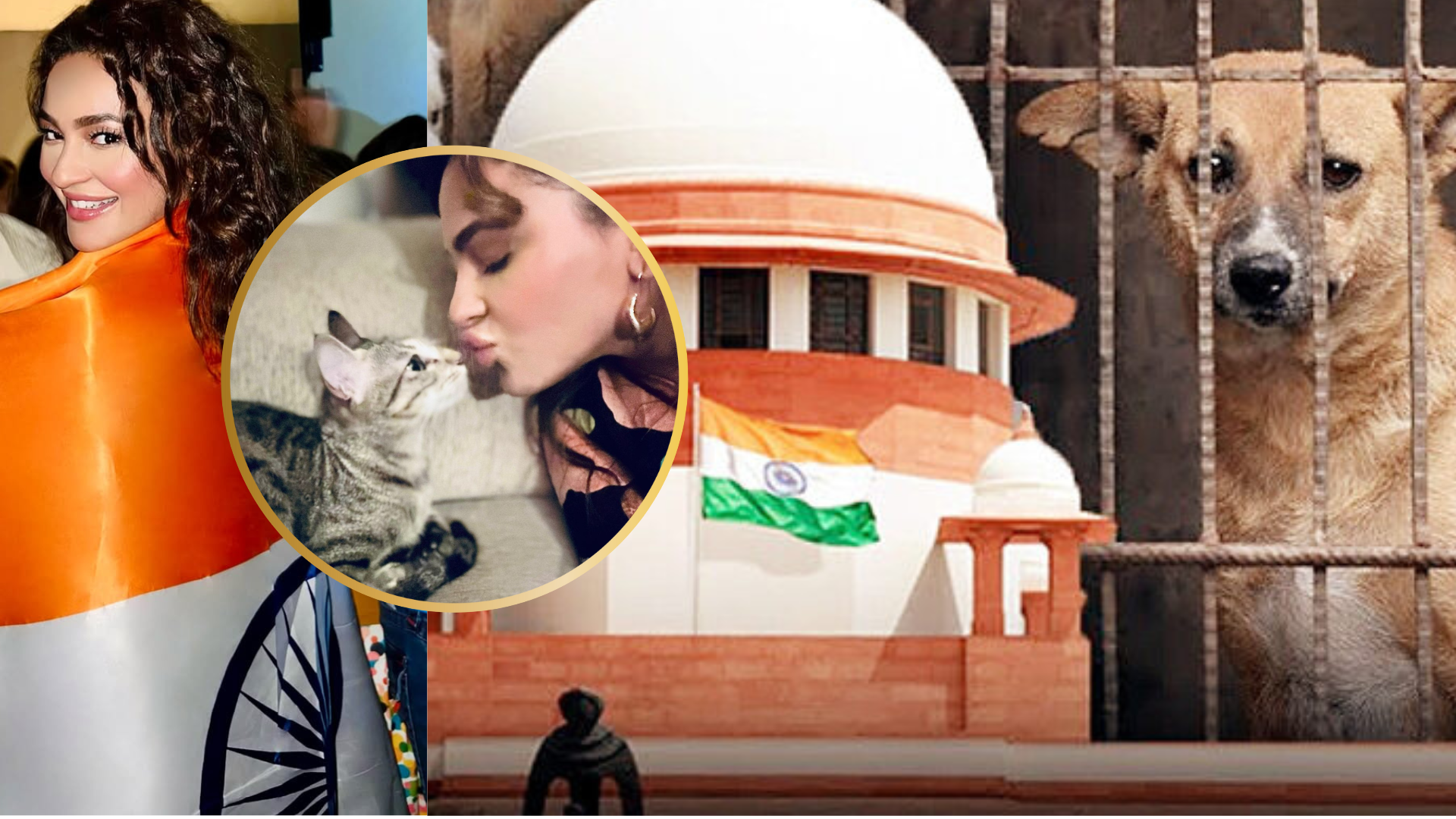 Seerat Kapoor