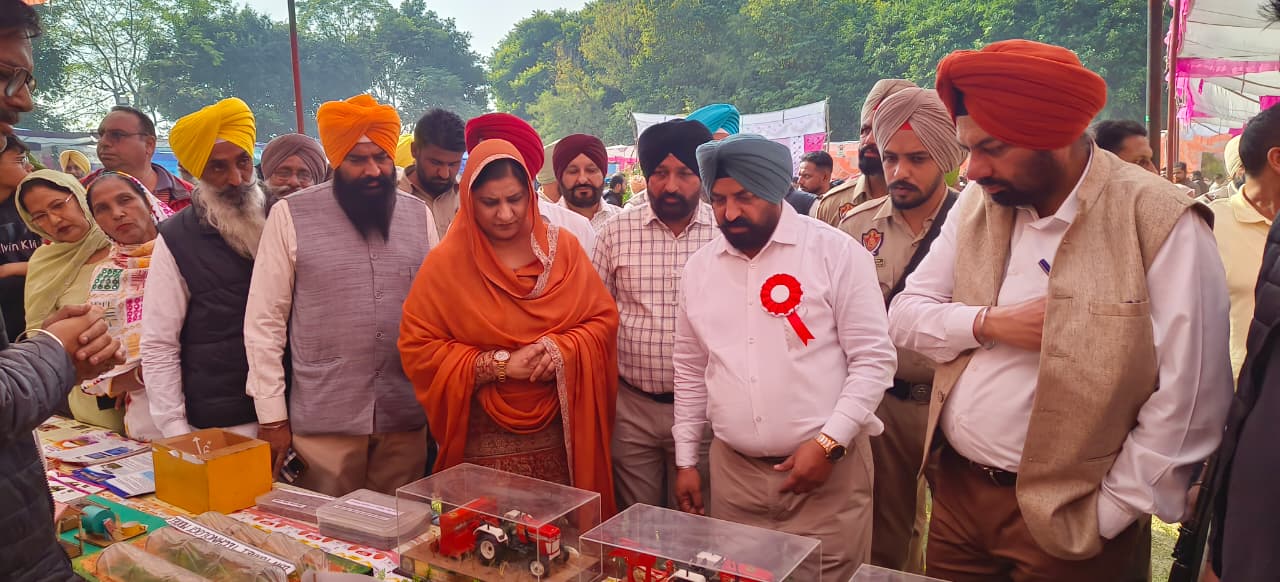 ਸਿਖ਼ਲਾਈ ਕੈਂਪ