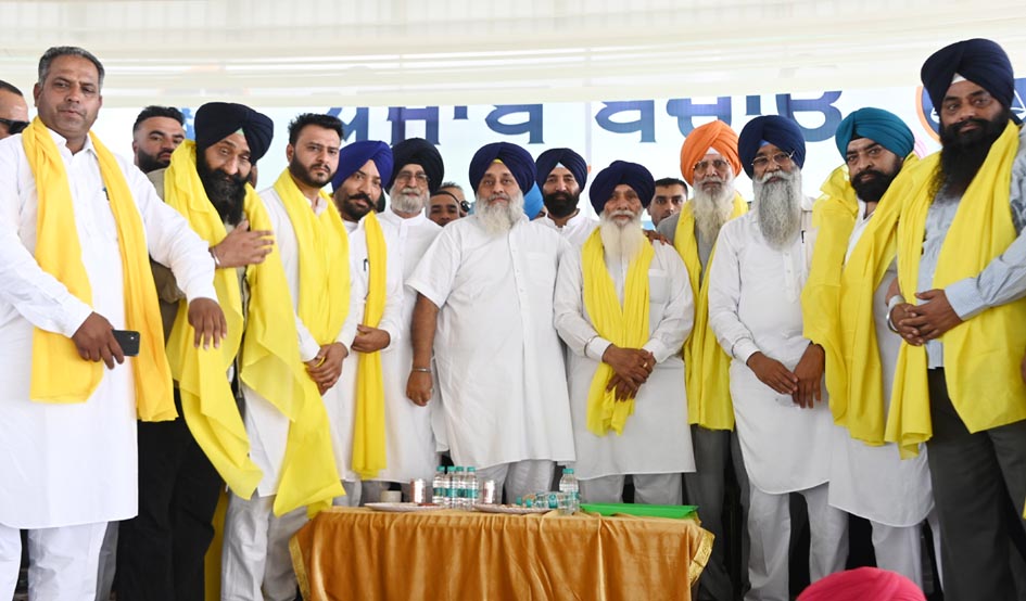 ਚੁੱਲ੍ਹਾ ਦਲ