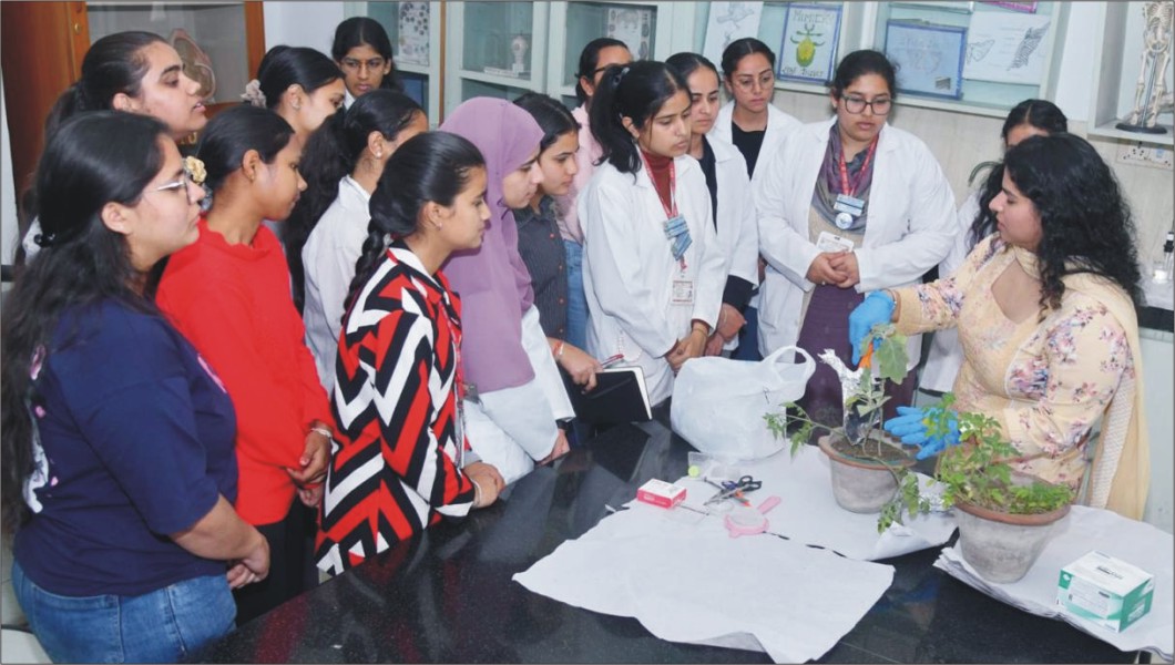 seminar-cum-workshop