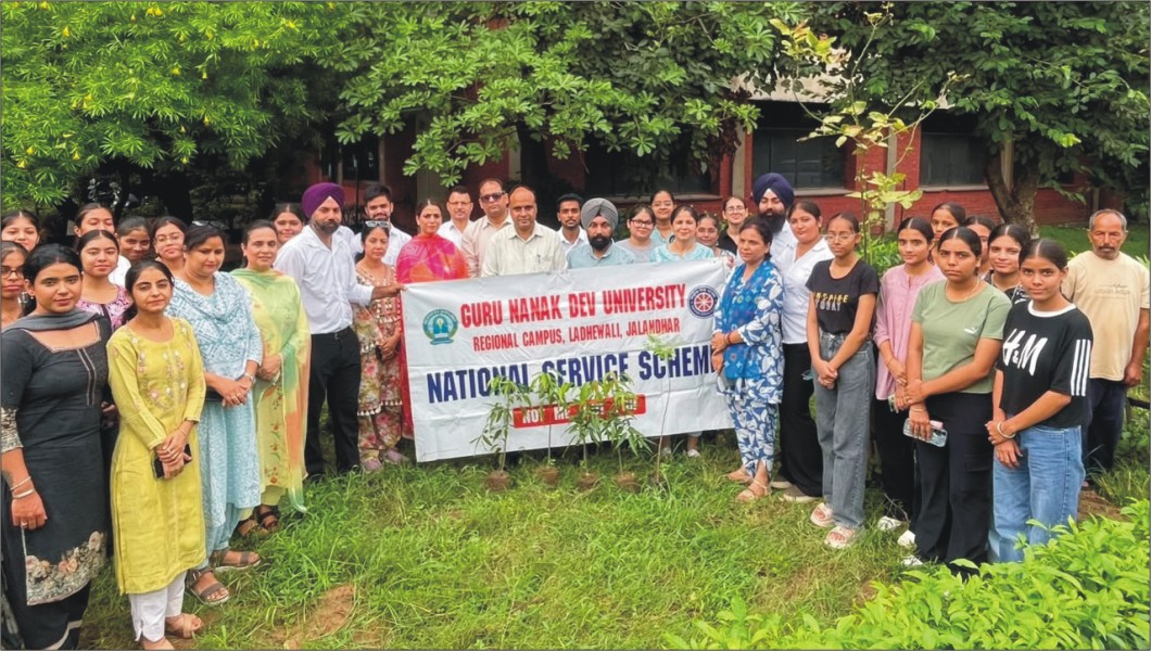 Tree Plantation Drive